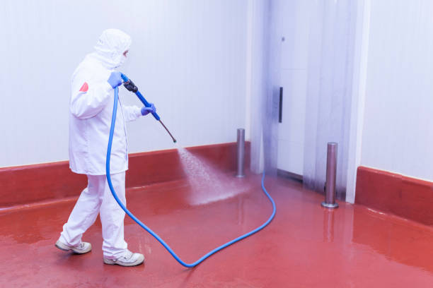 Spring Cleaning in Keedysville, MD